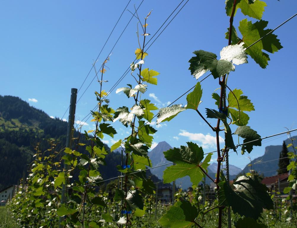 Gielerhof Leilighet Zell am Ziller Eksteriør bilde